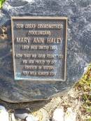 (Yoolungan)
Mary Ann Haley
b: 1859 (nee Smith) d: 1898
Woodhill cemetery (Veresdale), Beaudesert shire