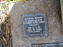 Glen Morrie Crooks
b: 16 Sep 1954 - d: 15 Jan 2005
Norma Helen Crooks
(accidentally drowned)
d: 2 Nov 1952, aged 13
Helen Crooks
d: 26 Jun 90, aged 80
Alexander Alfred Edward Crooks
d: 21 Mar 83, aged 78
Woodhill cemetery (Veresdale), Beaudesert shire