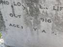 Ethel Gladys White
1 Oct 1916, aged 3
Woodhill cemetery (Veresdale), Beaudesert shire