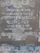 Isabella Sylena Waldron
b: 1872, d: 1939
James Henderson Waldron
b: 1871, d: 1953
Woodhill cemetery (Veresdale), Beaudesert shire