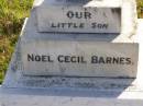 (son) Noel Cecil Barnes
Elvie May Barnes
b: 1916, d: 1992, aged 76
Cecil Allen Barnes
b: 1910, d: 1999, aged 89
Woodhill cemetery (Veresdale), Beaudesert shire