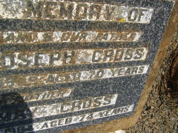 William Joseph CROSS,  | husband father,  | died 3 June 1969 aged 70 years;  | Elsie May CROSS,  | mother,  | died 3 Dec 1984 aged 74 years;  | Yarraman cemetery, Toowoomba Regional Council  | 