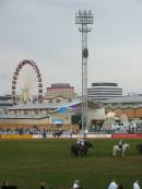 298_9858.JPG