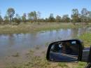 Ground water after recent rain, between Goondiwindi and St George, Queensland  