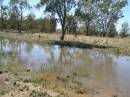 Ground water after recent rain, between Goodwindi and St George, Queensland  