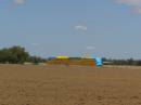 Hay in field, between Goondiwindi and St George, Queensland 