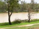 River at St George, Queensland 