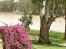River at St George, Queensland 