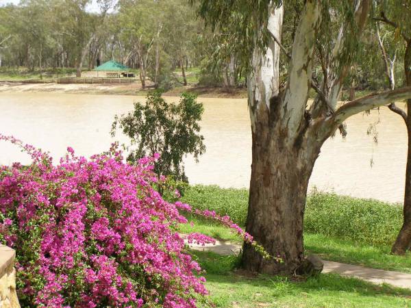 River at St George, Queensland  | 