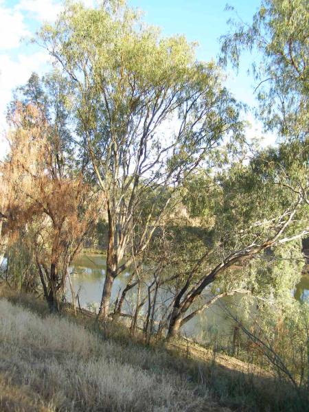 The Darling River,  | Bourke, New South Wales  | 