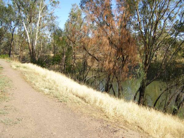 The Darling River,  | Bourke, New South Wales  | 