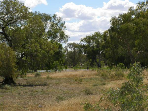 Billabong near Bourke, New South Wales  | 