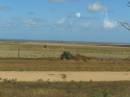 Between Cowell and Port Neill, Eyre Peninsula, South Australia 