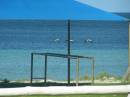 Pelicans on the wing, Port Neill, Eyre Peninsula, South Australia 