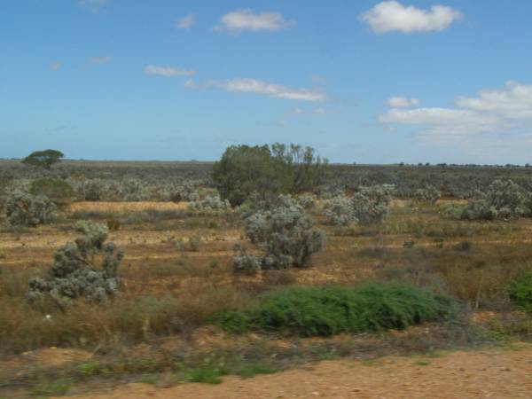 Between Whyalla and Cowell on the Eyre Peninsula,  | South Australia  | 