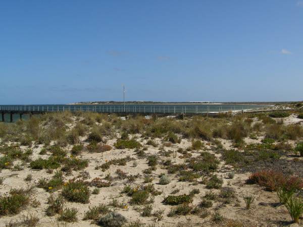 Port Neill,  | Eyre Peninsula,  | South Australia  | 