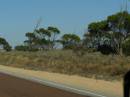 The Eyre Highway heads west from Ceduna towards the Nullarbor Plain, South Australia 