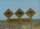 Near the township of Nullarbor, Eyre Highway, South Australia 