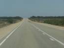 The not-so-treeless Nullarbor Plain, between Nullarbor township and Border Village, Eyre Highway, South Australia 