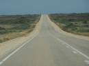 The not-so-treeless Nullarbor Plain, between Nullarbor township and Border Village, Eyre Highway, South Australia 
