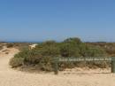 Cliffs at the Great Australian Bight, Nullarbor Plain, Eyre Highway, South Australia 
