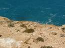 Cliffs at the Great Australian Bight, Nullarbor Plain, Eyre Highway, South Australia 