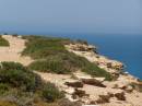 Cliffs at the Great Australian Bight, Nullarbor Plain, Eyre Highway, South Australia 