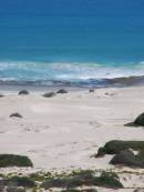 Rocky hillsides lead down to the Great Australian Bight, Nullarbor Plain, Eyre Highway, South Australia 