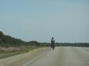 Cyclist crossing the Nullarbor Plain, near Border Village, Eyre Highway, Western Australia 