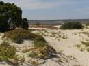 The sand dunes, Eucla willage, Nullarbor Plain, Eyre Highway, Western Australia 