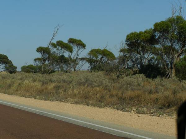 The Eyre Highway heads west from Ceduna  | towards the Nullarbor Plain,  | South Australia  | 