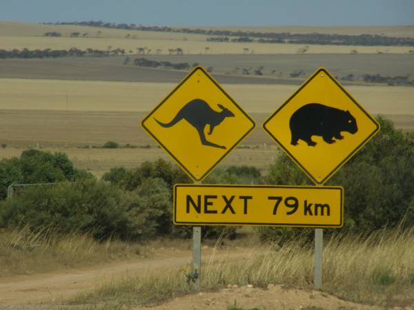 The Eyre Highway heads west from Ceduna  | towards the Nullarbor Plain,  | South Australia  | 