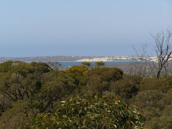Towards Fowlers Bay,  | South Australia  | 