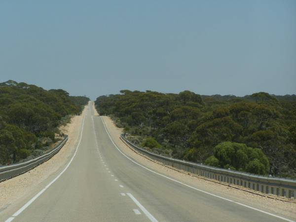Yalata area,  | Eyre Highway,  | South Australia  | 
