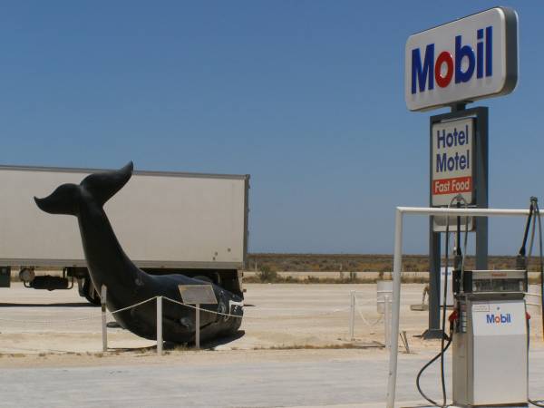 Roadhouse at the township of Nullarbor,  | Eyre Highway,  | South Australia  | 
