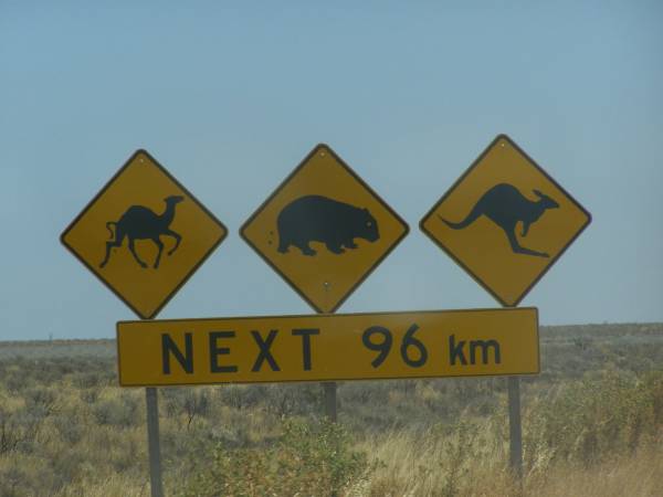 Near the township of Nullarbor,  | Eyre Highway,  | South Australia  | 