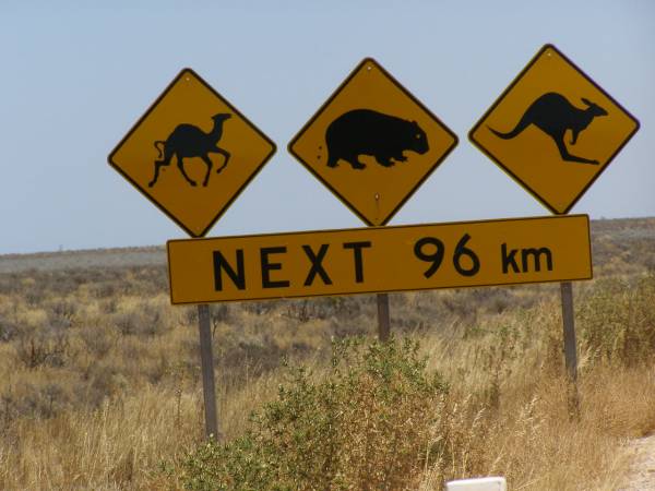 Near the township of Nullarbor,  | Eyre Highway,  | South Australia  | 