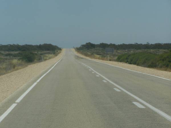 The not-so-treeless Nullarbor Plain,  | between Nullarbor township and Border Village,  | Eyre Highway,  | South Australia  | 