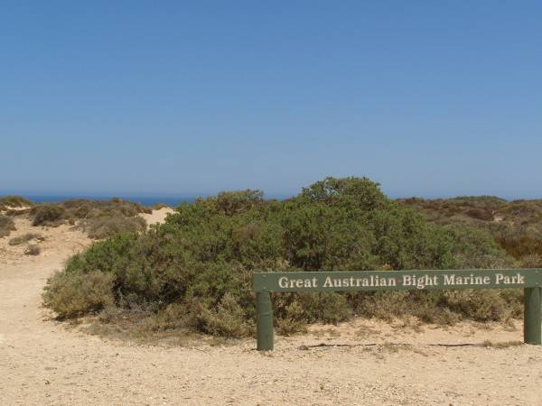 Cliffs at the Great Australian Bight,  | Nullarbor Plain,  | Eyre Highway,  | South Australia  | 