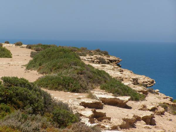 Cliffs at the Great Australian Bight,  | Nullarbor Plain,  | Eyre Highway,  | South Australia  | 