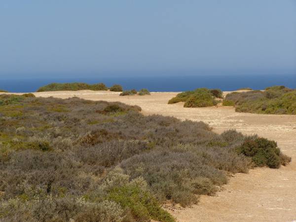 More cliffs of the Great Australian Bight,  | Nullarbor Plain,  | Eyre Highway,  | South Australia  | 