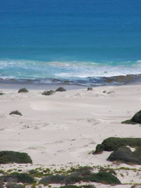 Rocky hillsides lead down to  | the Great Australian Bight,  | Nullarbor Plain,  | Eyre Highway,  | South Australia  | 