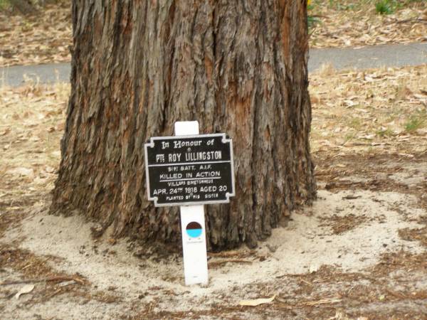 Memorial trees,  | King's Park,  | Perth,  | Western Australia  | 