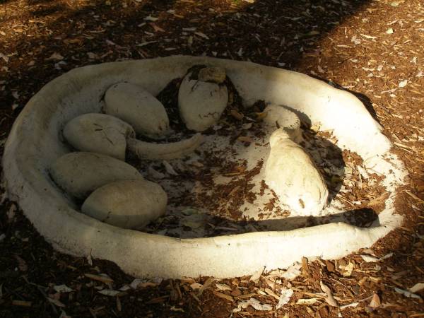 A dinosaur park,  | King's Park,  | Perth,  | Western Australia  | 