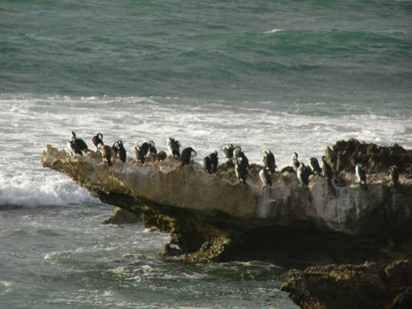 Perth beaches,  | Western Australia  | 