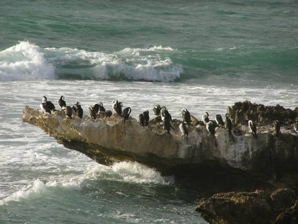 Perth beaches,  | Western Australia  | 