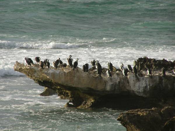 Perth beaches,  | Western Australia  | 