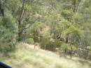 Avon River Valley, taken from the Indian Pacific 