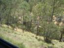 Avon River Valley, taken from the Indian Pacific 