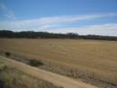Wheat farming, Western Australia, taken from the Indian Pacific 